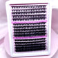 LASH CLUSTERS “EVERYTHING PINK”